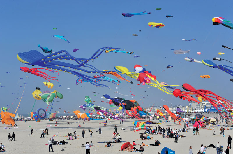 anzin.fr - Sortie à Berck<span>Rencontres internationales de cerfs-volants</span>