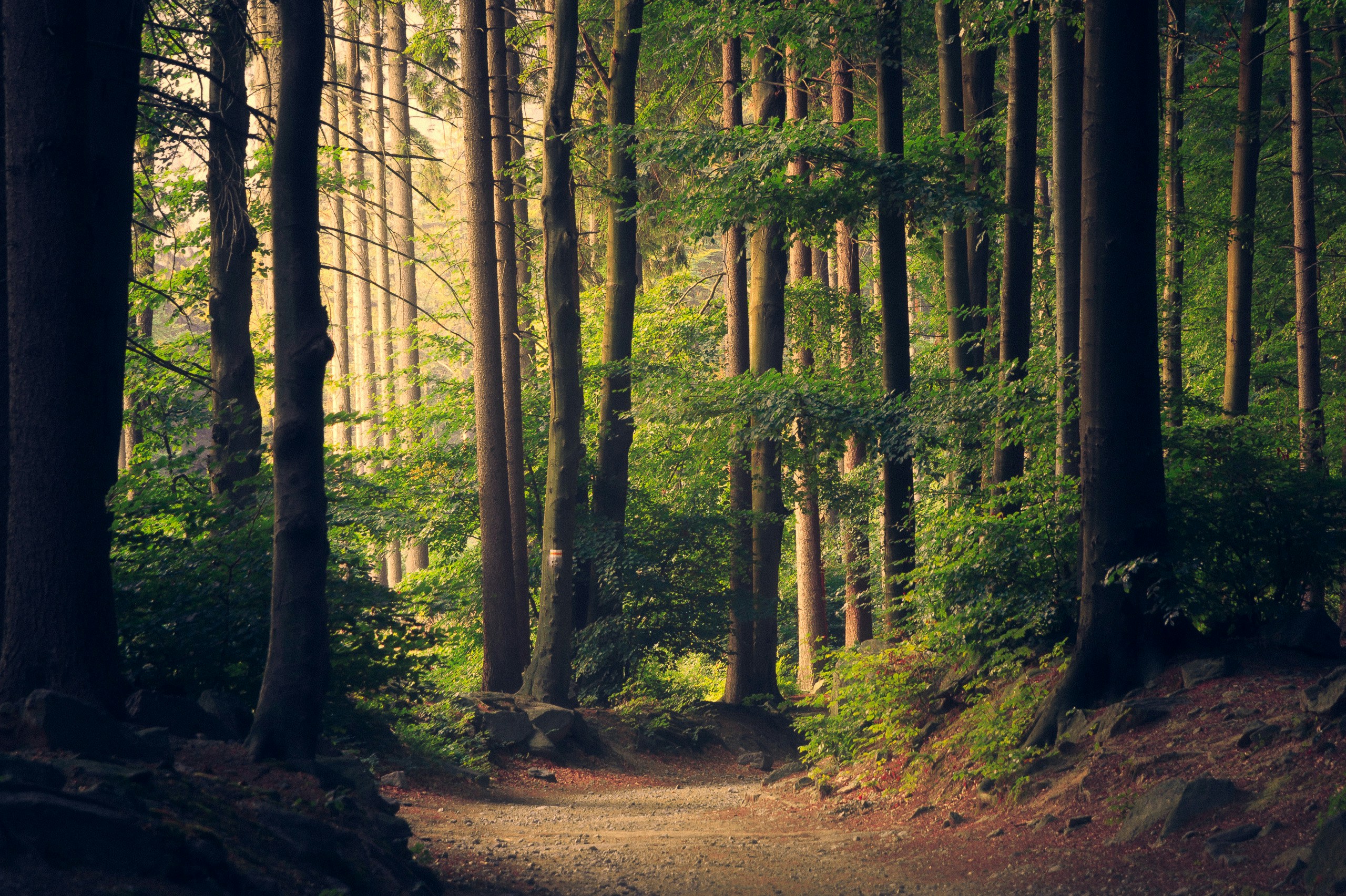 Heure du conte La nature